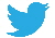 Twitter Icon