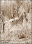 Done13